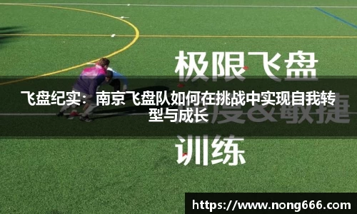 飞盘纪实：南京飞盘队如何在挑战中实现自我转型与成长