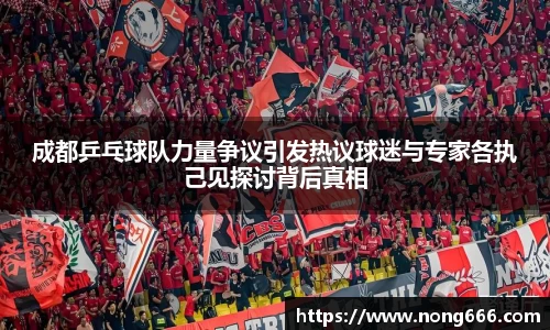 成都乒乓球队力量争议引发热议球迷与专家各执己见探讨背后真相